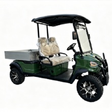 Farm 2-Seater Electric Golf Cart with Cargo Bed