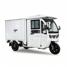 2026 Enclosed Container Express Electric Tricycle Other Tricycles Cargo Bike
