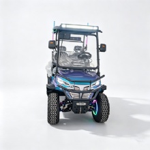 Custom Color Chameleon 2 Seater Off-Road Electric Golf Cart With RGB Light Strips & Rear Cargo Bed