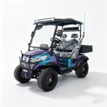 Custom Color Chameleon 2 Seater Off-Road Electric Golf Cart With RGB Light Strips & Rear Cargo Bed