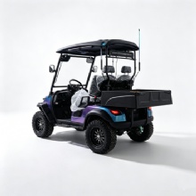 Custom Color Chameleon 2 Seater Off-Road Electric Golf Cart With RGB Light Strips & Rear Cargo Bed