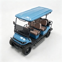 Luxury 4 Passenger Electric Sightseeing Golf Car