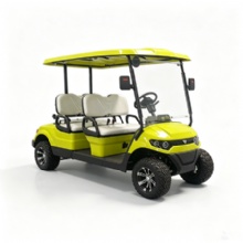 Lemon Yellow Multi-Color Custom 4 Passenger Electric Sightseeing Golf Buggy