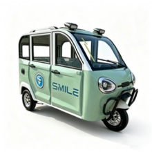 HKBG New Electric Tricycle Fully Enclosed Small Household Scooter with Canopy for Adults