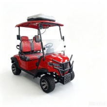 HKBG 2 seater Golf Cart Customizable golf carts