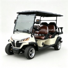Model D 4+2 Seater Electric Golf Cart with LED Front Headlights, Support Custom Logo