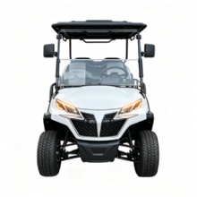Model D 4+2 Seater Electric Golf Cart with LED Front Headlights, Support Custom Logo