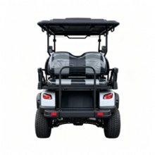 Model D 4+2 Seater Electric Golf Cart with LED Front Headlights, Support Custom Logo
