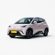Seagull 405KM Flying Edition Pure Electric Passenger Car