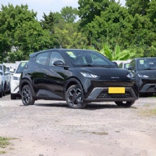Seagull 405KM Flying Edition Pure Electric Passenger Car