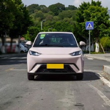 Seagull 405KM Flying Edition Pure Electric Passenger Car