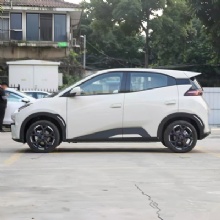 Seagull 405KM Flying Edition Pure Electric Passenger Car