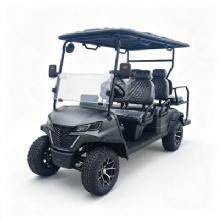 Luxury 4 Passenger Electric Sightseeing Golf Car