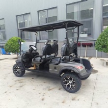 Luxury 4 Passenger Electric Sightseeing Golf Car
