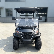 Luxury 4 Passenger Electric Sightseeing Golf Car
