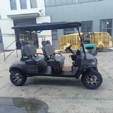 Luxury 4 Passenger Electric Sightseeing Golf Car