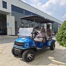 Custom 4 Passenger Electric Golf Cart with Multi‑Color Options