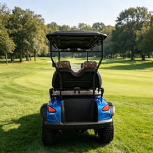 Custom 4 Passenger Electric Golf Cart with Multi‑Color Options