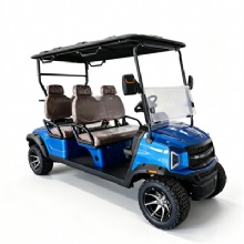 Custom 4 Passenger Electric Golf Cart with Multi‑Color Options