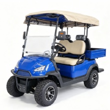 2026 Custom Color Chameleon 2 Seater Off-Road Electric Golf Cart With RGB Light Strips & Rear Cargo Bed