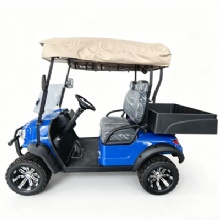 2026 Custom Color Chameleon 2 Seater Off-Road Electric Golf Cart With RGB Light Strips & Rear Cargo Bed
