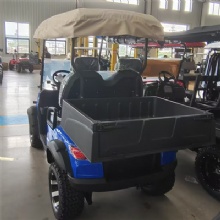 2026 Custom Color Chameleon 2 Seater Off-Road Electric Golf Cart With RGB Light Strips & Rear Cargo Bed