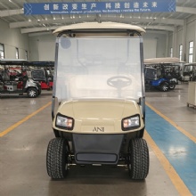 Custom Color Off-Road 2 Seater With Rear Cargo Bed 3500W-7500W Motor Lithium Battery Electric Golf Cart