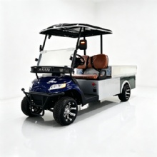 Custom Color Chameleon 4 Seater Off-Road Electric Golf Cart With RGB Light Strips & Rear Cargo Bed