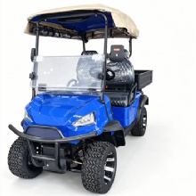Custom Color Chameleon 4 Seater Off-Road Electric Golf Cart With RGB Light Strips & Rear Cargo Bed