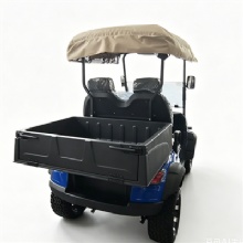 Custom Color Chameleon 4 Seater Off-Road Electric Golf Cart With RGB Light Strips & Rear Cargo Bed