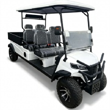 Blue Multi‑Color Custom 4‑Passenger Electric Golf Cart