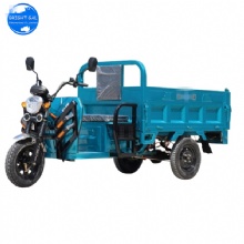 Three Wheel Electric Tricycle for Adult Three Wheels Triciclo Electrico Cargo Freight Electric Tricycle Cargo Electric Tricycles Three Wheel Electric Tricycle