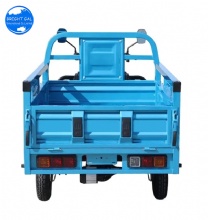 Three Wheel Electric Tricycle for Adult Three Wheels Triciclo Electrico Cargo Freight Electric Tricycle Cargo Electric Tricycles Three Wheel Electric Tricycle
