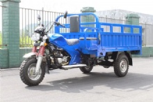 2025 New Energy-saving and Environmentally Friendly EV Express Delivery Cargo Tricycle Electric Van