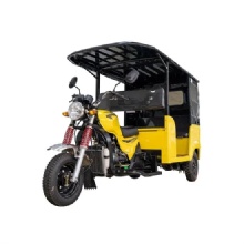 2025 Five Colors 3 Wheel Electric Taxi / Closed Cabin Passenger Tricycles Auto Taxi Tricycle Tuktuk