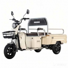 Quality Electric 1200w Motor Three-Wheel Cargo Tricycles Open Body Dumping Mobility for Family Use 48v Voltage Gasoline Driving