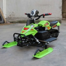 2025 Factory Price Custom Snow Scooter Adult and Children 48v 20AH 800w with Horn/light/three Speed Racer Sleds