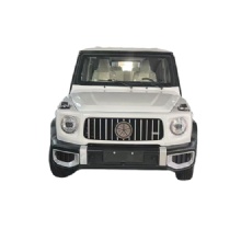 2025 Hot Selling Four Wheel Low Speed Car SUV Off Road Mobility Vehicle