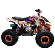 Utility ATV 125cc 150cc Quad Bike with Rear Cargo Rack, Heavy Duty Off-Road ATV