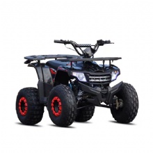 Wholesale 150cc ATV Quad Bike 4-Stroke Off-Road Motorcycle Adult Gas ATV
