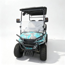 Customizable multi-seat off-road electric golf carts, CE certified, with optional cargo boxes.