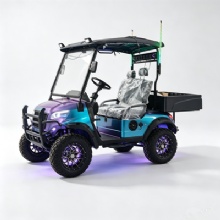 Custom Color Chameleon 2 Seater Off-Road Electric Golf Cart With RGB Light Strips & Rear Cargo Bed