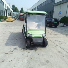 6 Passenger Electric Sightseeing Golf Cart Light Green Body