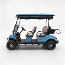 Luxury 4 Passenger Electric Sightseeing Golf Car