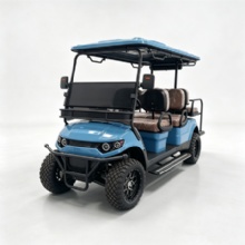 Luxury 4 Passenger Electric Sightseeing Golf Car