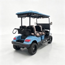 Luxury 4 Passenger Electric Sightseeing Golf Car