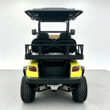 Lemon Yellow Multi-Color Custom 4 Passenger Electric Sightseeing Golf Buggy