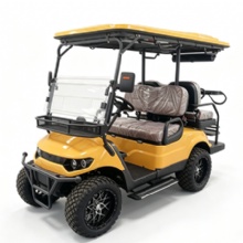 Luxury Lifted Offroad Electric Golf Car 4/6 Passenger 4WD 10KW Motor