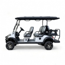 HKBG 6 Seater Gas Powered Golf Cart