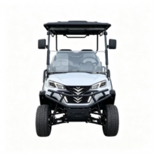 HKBG 6 Seater Gas Powered Golf Cart